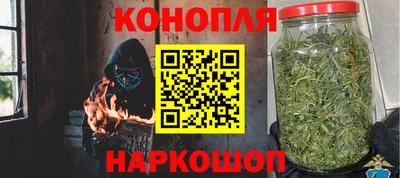 прущие грибы Апрелевка