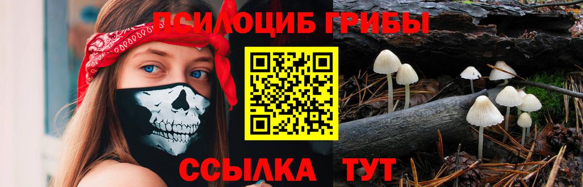 Галлюциногенные грибы MAGIC MUSHROOMS Березники