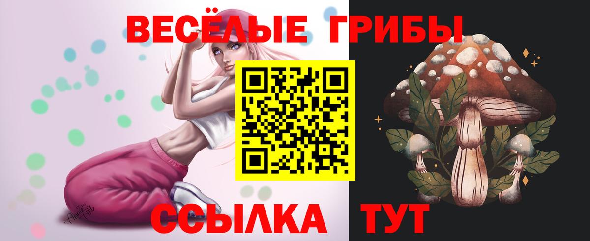 Галлюциногенные грибы MAGIC MUSHROOMS  Вход с VPN  Псилоцибиновые грибы Cubensis  Березники 
